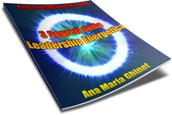 3 Segreti della Leadership Energetica