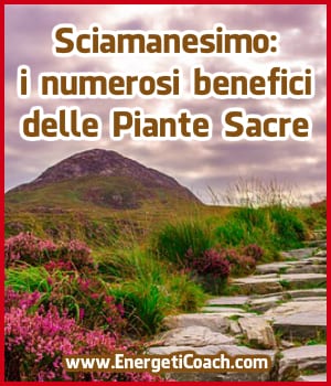 Sciamanesimo: i numerosi benefici delle Piante Sacre
